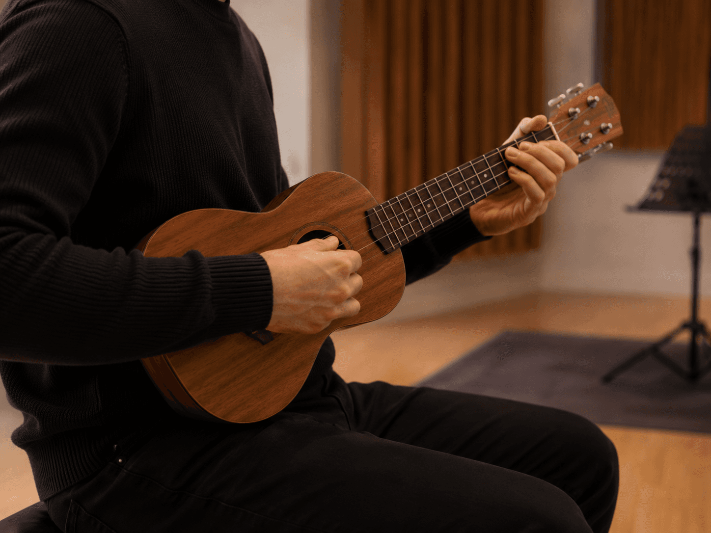Lezione di Ukulele a Como